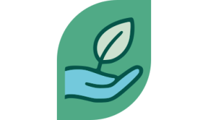 Logo Écologie. Plante poussant dans une main sur fond vert.