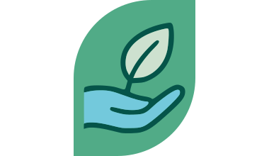 Logo Écologie. Plante poussant dans une main sur fond vert.